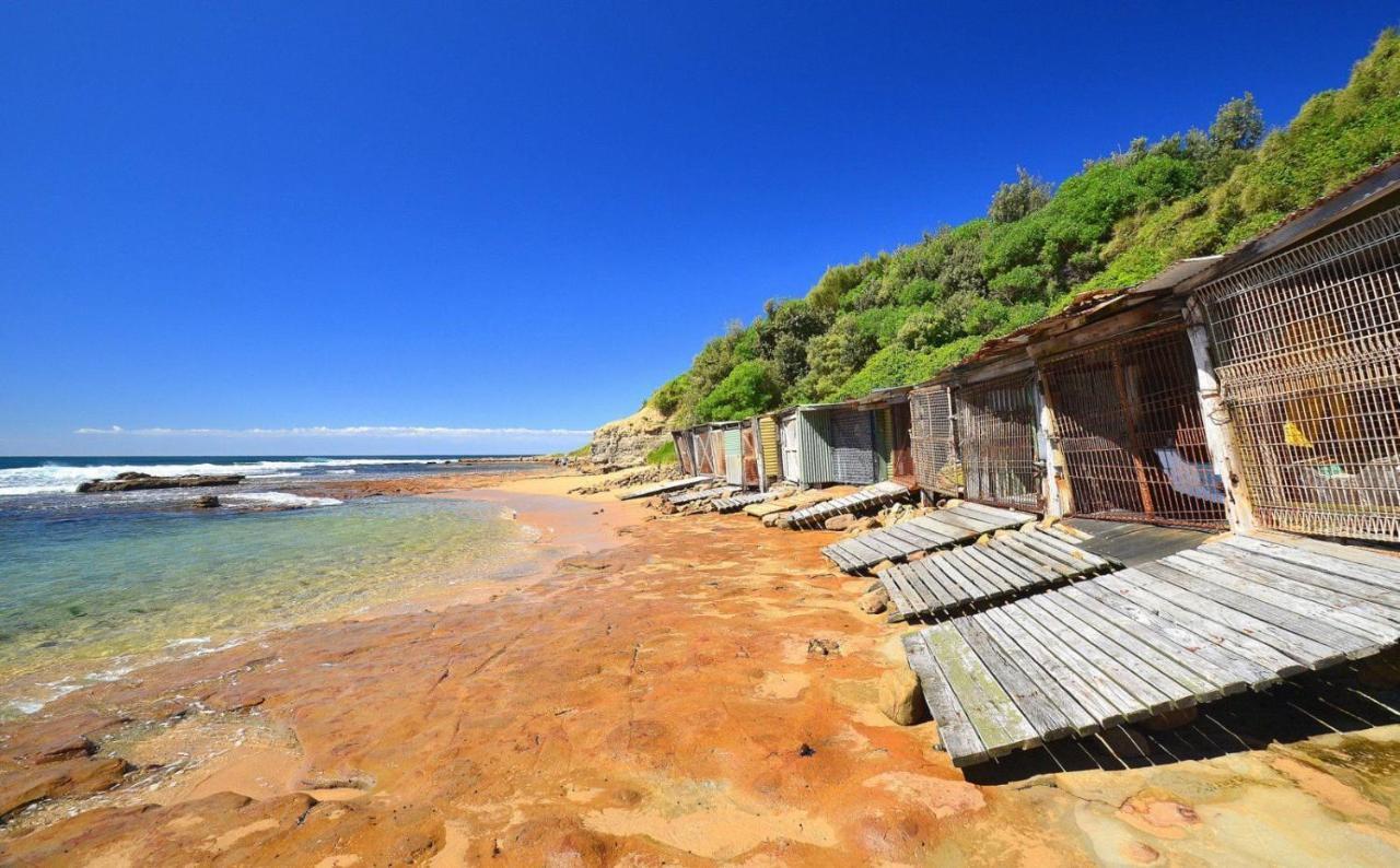 Sandon Point Coastal Abode Bulli Kültér fotó